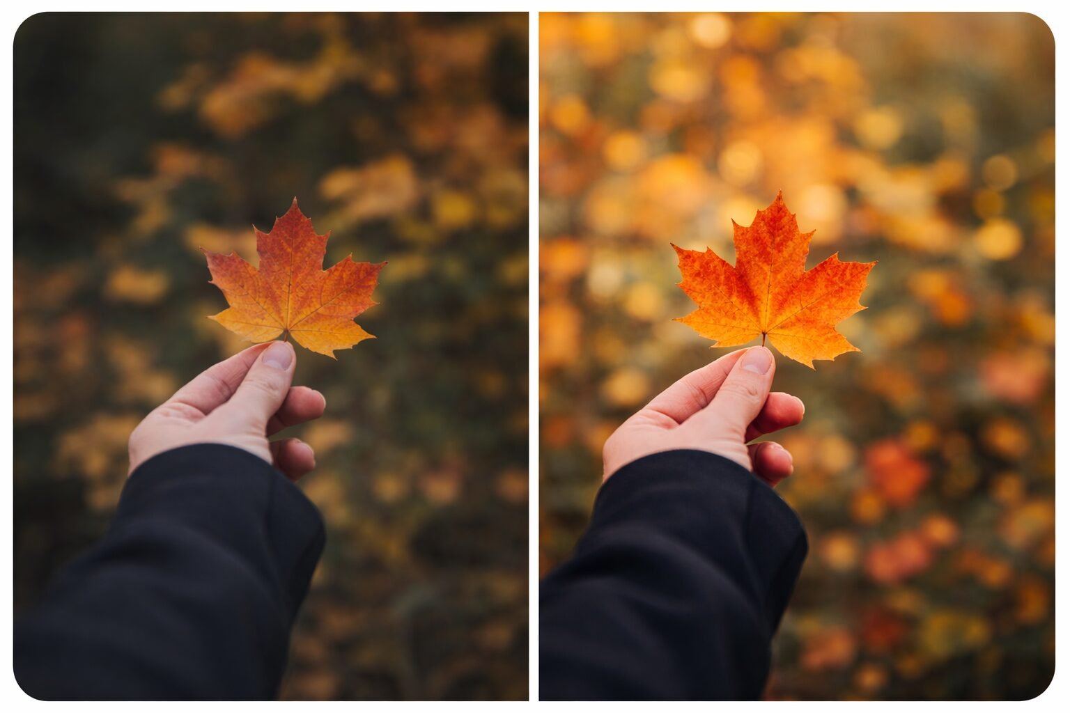 Google Pixel 10 Pro in hand premium design flagship phone